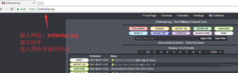 EHviewer������վ�������